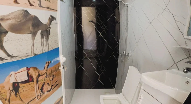 Номер Standard Luxury Desert Camp Oman