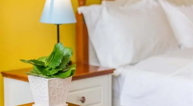 Summer Blossom Inn (Sanyabay Branch), Book Hotel Sanya Hainan