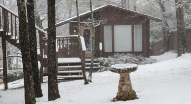Номер Standard The Woods Cabins