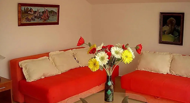 Студия с балконом и с видом на море Apartments Odalović