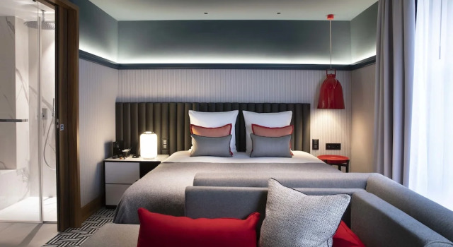 Двухместный номер Deluxe Hotel D Geneva