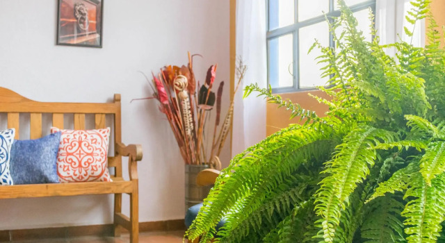 Hotel Casa Santamaria, Забронировать Отель Отели Сан-Мигель-де-Альенде 3 звезды, 3*