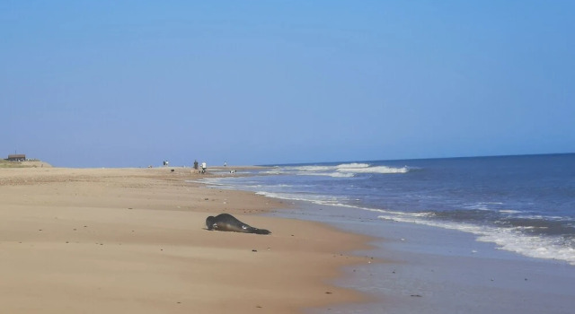 Sea Breeze Holiday Chalet, Convenient for Beach, Забронировать Шале Грейт-Ярмут The Broads, рядом с Гольф-клуб Lost World Adventure