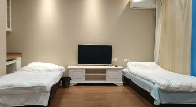 Люкс c 1 комнатой Changchun Light Luxury Banshan Hot Spring Homestay