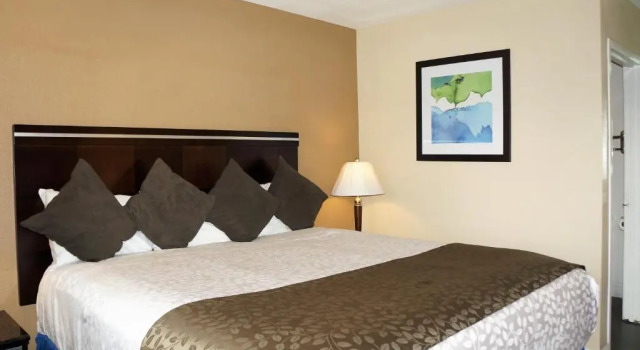 Номер Standard Executive Inn