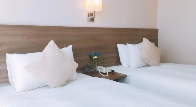 Двухместный номер Standard Hotel Leisure Taipei