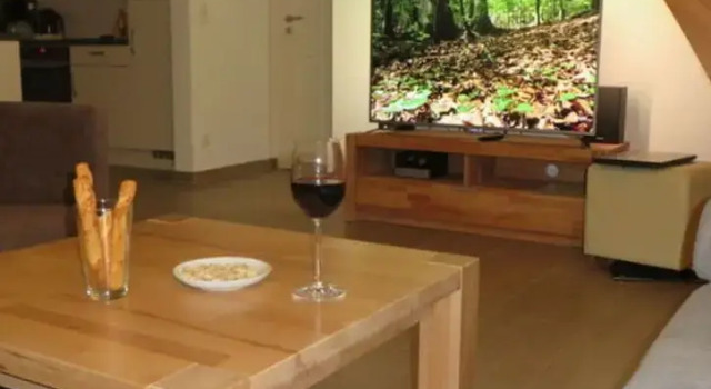 Cosy Apartment by the Lake, Book Apartment Nordhorn Lower-Saxony