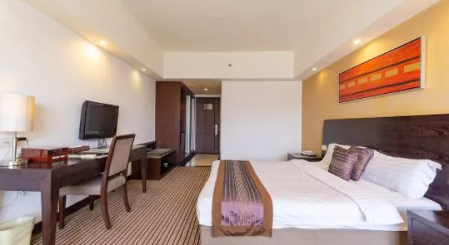 Номер Deluxe Hotel Grand Central
