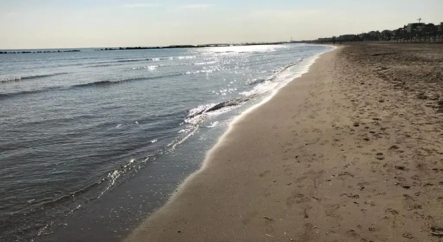 Апартаменты Greta a mare