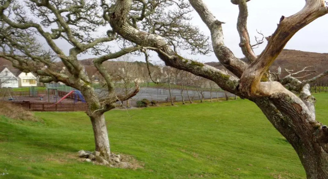 Коттедж с 2 комнатами Cottage 315 - Clifden