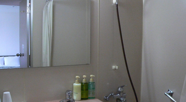 Трёхместный номер Standard Pulses Inn Kyoto