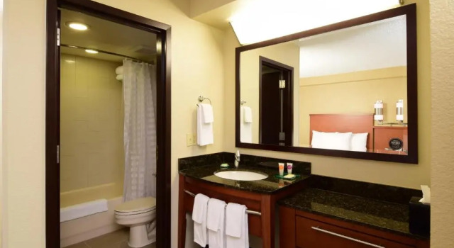 Двухместный номер High Floor Hyatt Place Dallas Las Colinas