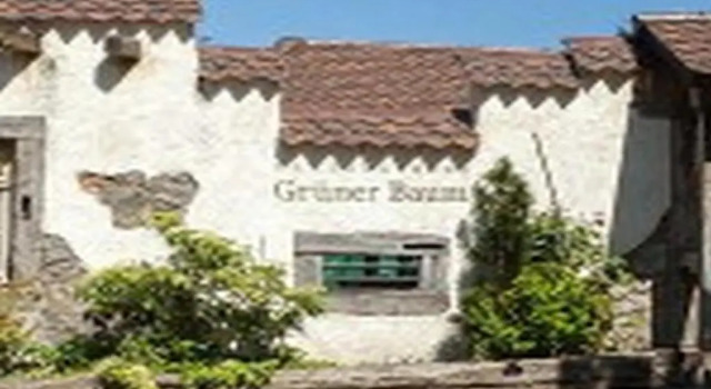 Landgasthaus Grüner Baum