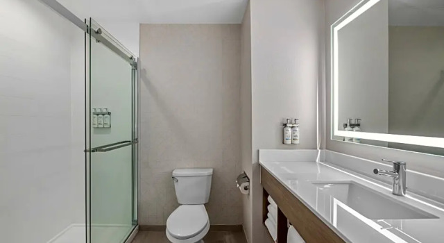 Четырёхместный люкс Holiday Inn Express - Downtown San Diego by IHG