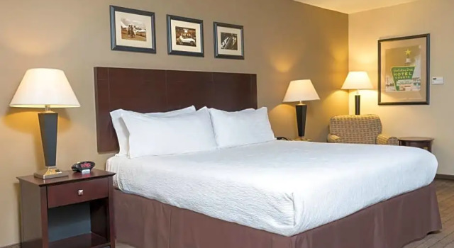 Двухместный номер Executive Holiday Inn Aurora North - Naperville by IHG