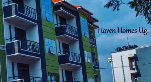 Haven Homes - Ug, a cozy 1 bedroom apartment with Free unlimited wifi & Netflix