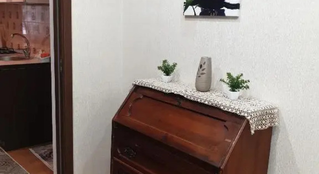 Alin Apartament