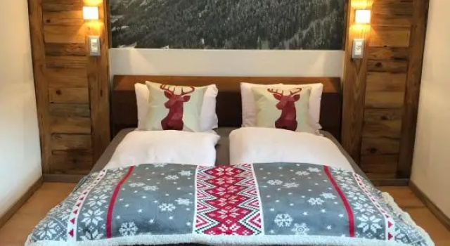 Одноместный номер Economy Mountain Lodge Sedrun