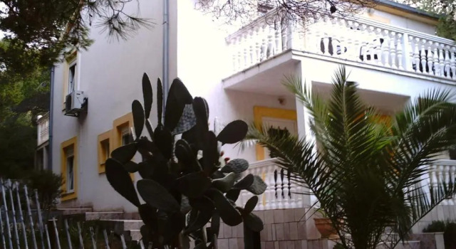 Апартаменты c 1 комнатой с видом на парк Apartments Elena & Damir