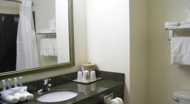 Одноместный номер Standard Holiday Inn Express & Suites - Omaha I - 80 by IHG