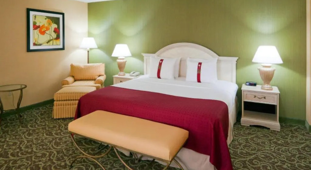 Люкс Holiday Inn Chantilly - Dulles Arpt Area by IHG