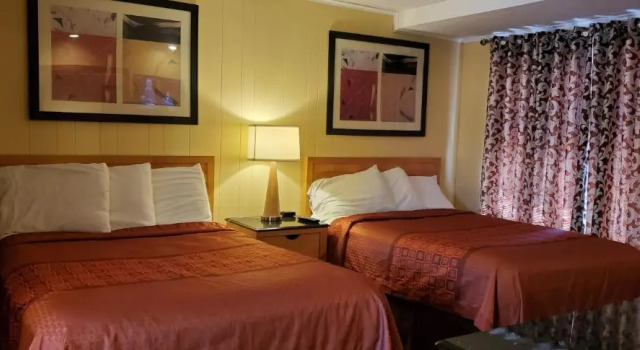Люкс Pinebrook Motel