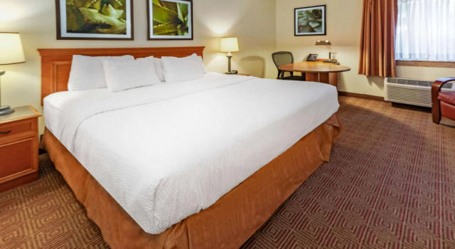 Двухместный номер Standard La Quinta by Wyndham Tampa Brandon West
