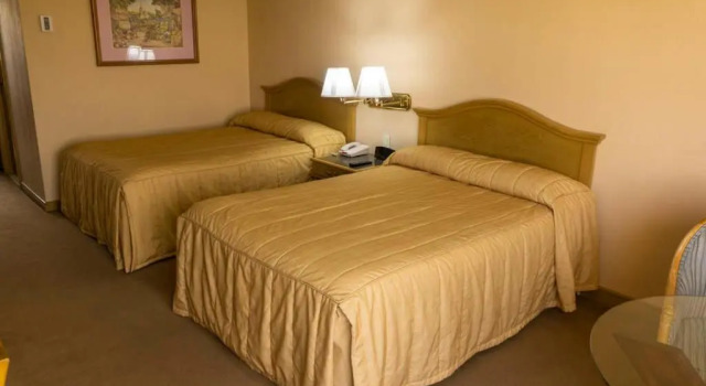 Двухместный номер Deluxe Hotel San Luis Lindavista