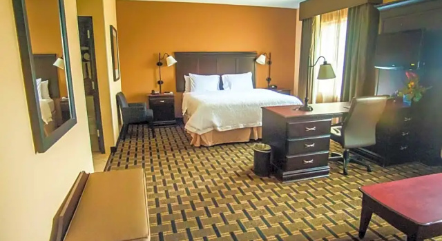 Студия Hampton Inn & Suites Palestine