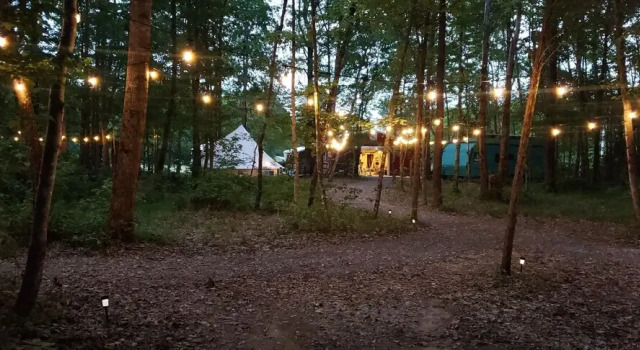 Sassy Springs Retreat, Забронировать Отель Отели Теннесси с парковкой, Парковка