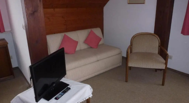 Двухместный номер Standard Hotel Grüner Baum