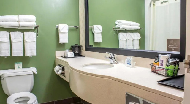 Люкс Sleep Inn & Suites Charles City