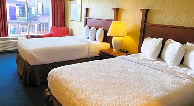 Четырёхместный люкс с видом на бассейн District Hotel