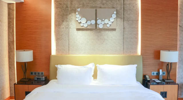 Двухместный номер Standard с балконом и с видом на город Holiday Inn Nanjing Xuanwu Lake by IHG