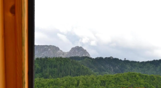 Двухместный номер Standard Zakopane Willa