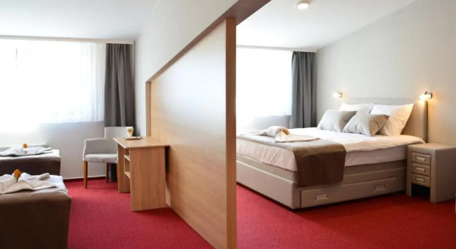 Семейный номер Standard Hotel Dolenjc