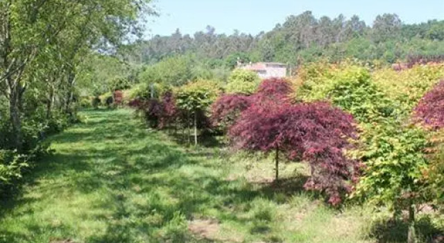 Casa Suárez Turismo Rural
