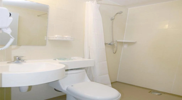 Swan Express Inn