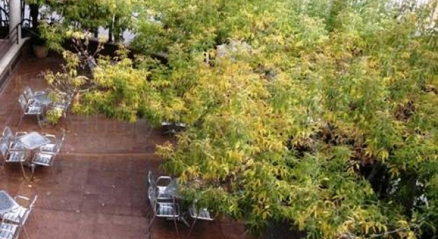 Villas Axarquia, Забронировать Отель Нерха Axarquía, рядом с Tuesday Market