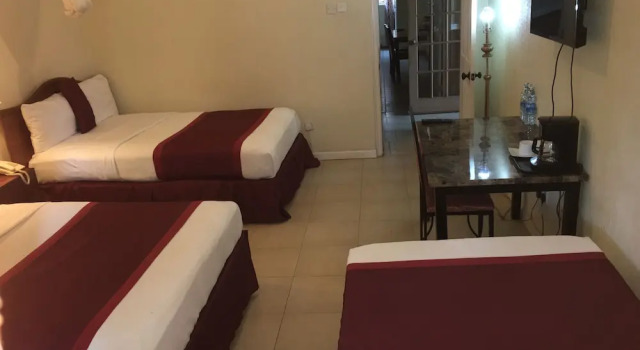 Трёхместный номер Deluxe Executive Airport Hotel