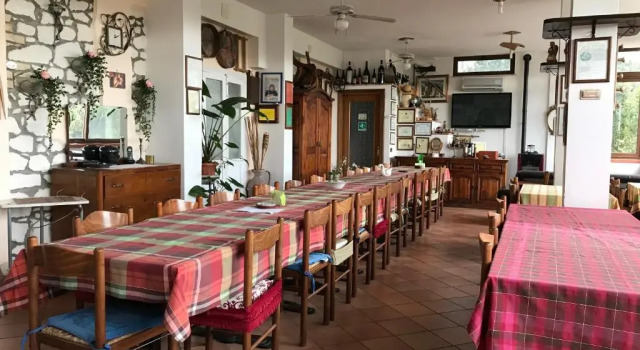 Одноместный номер Standard Agriturismo Montupoli