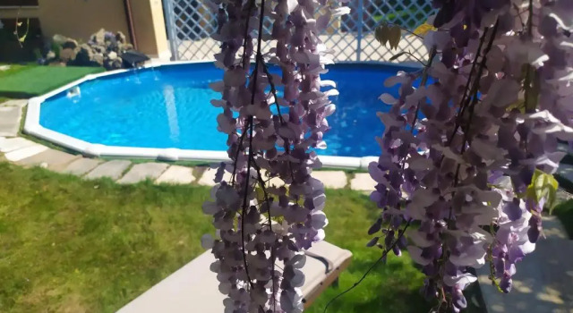 Апартаменты Superior Villa Luna Lombarda