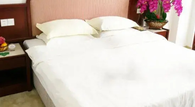 Standard- suite Royal Prince