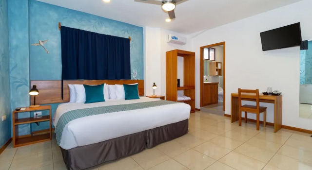 Одноместный номер Superior с балконом Plaza Luna Suites