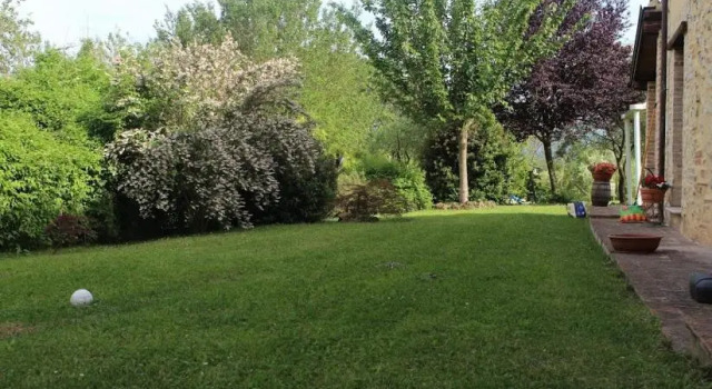 Студия Il giardino segreto