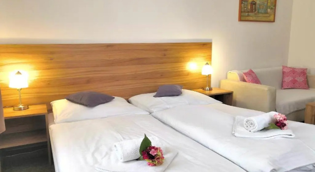 Двухместный номер Economy Hotel U Brány