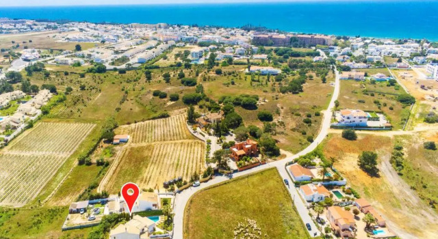 Vila Villa Palms