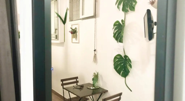 Jungle 13 - Room and Apartments