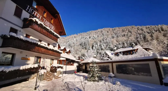 Двухместный номер Standard Hotel Tarvisio Four Seasons