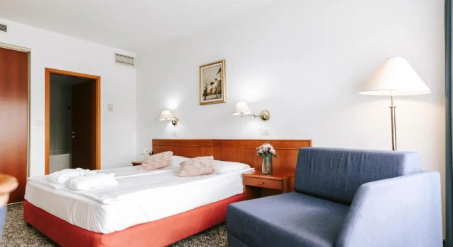 Апартаменты Hotel Toplice